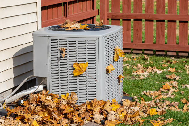 Best HVAC air duct cleaning  in Apalachicola, FL